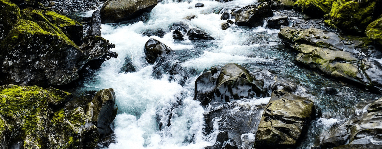Raft online stroomversnellers